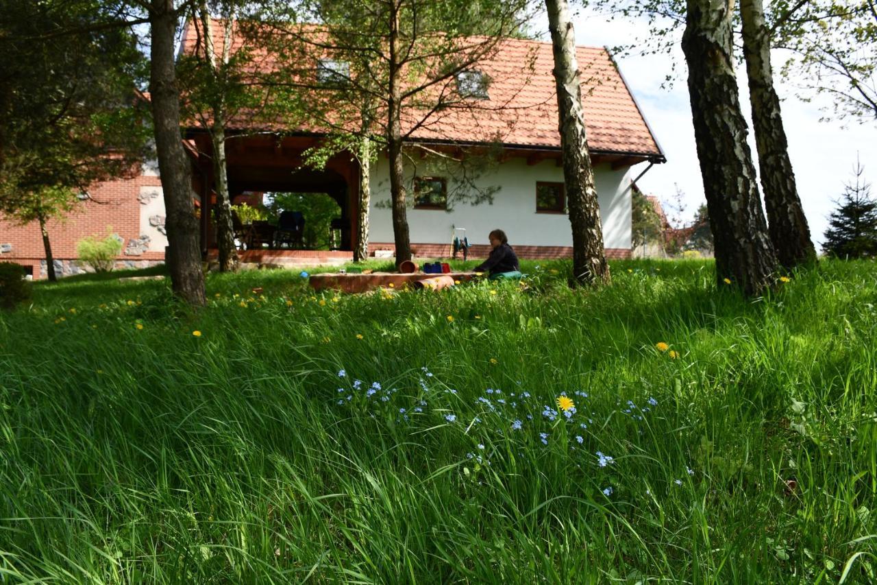 Charzykowska Chatka Charzykowy Exterior foto